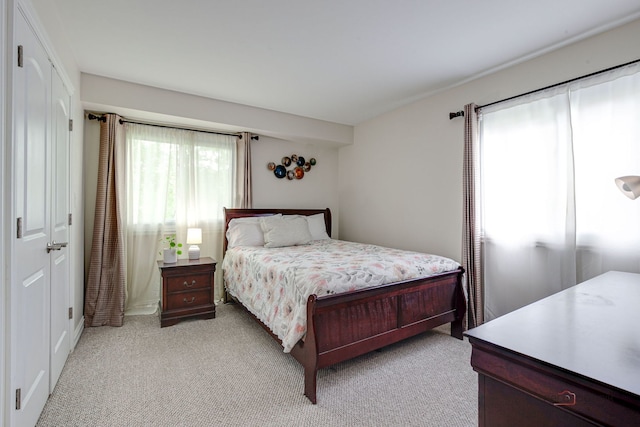 552 Arbor Gate Ln, Buffalo Grove, IL 60089 - bedroom featuring light carpet