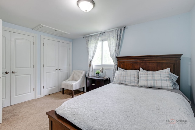 552 Arbor Gate Ln, Buffalo Grove, IL 60089 - bedroom featuring carpet flooring and two closets