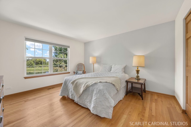 1962 Highbury Ln, Aurora, IL 60502 - bedroom featuring light wood-type flooring