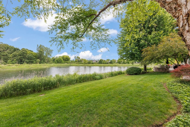 1962 Highbury Ln, Aurora, IL 60502 - view of green lawn with a water view