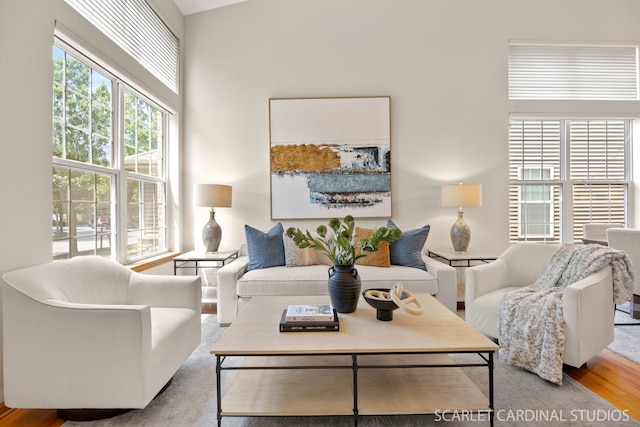 1962 Highbury Ln, Aurora, IL 60502 - living area featuring wood finished floors and a high ceiling