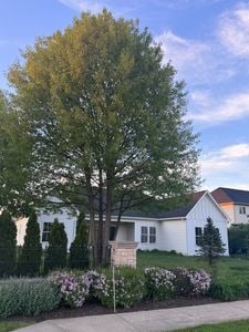 25136 Thornberry Dr Unit 25136, Plainfield, IL 60544 - view of front of property