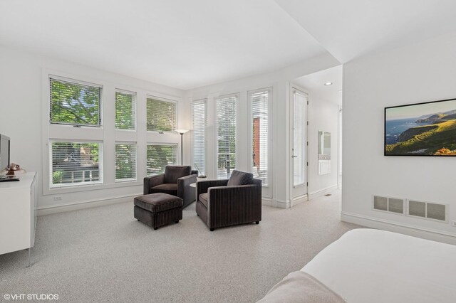 2209 N Seminary Ave, Chicago, IL 60614 - photo 28
