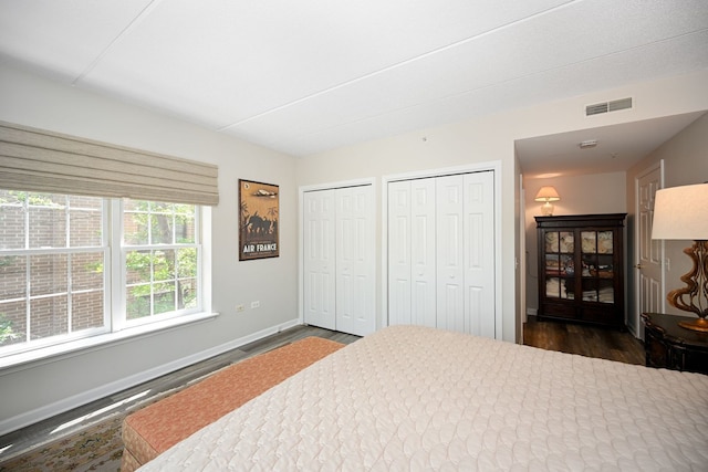 570 Crescent Blvd Unit 307, Glen Ellyn, IL 60137 - bedroom with two closets and dark wood-style floors