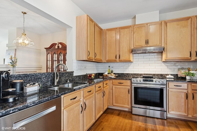 2396 Oakfield Ct, Aurora, IL 60503 - kitchen featuring stainless steel appliances, under cabinet range hood, wood finished floors, dark stone counters, and decorative backsplash