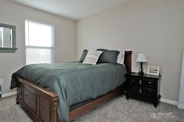 6650 Linden Trl Unit B, Wonder Lake, IL 60097 - bedroom with light colored carpet and baseboards