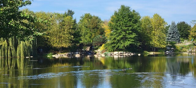 6650 Linden Trl Unit B, Wonder Lake, IL 60097 - water view