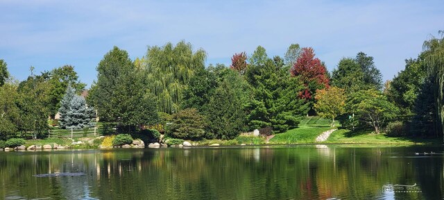 6650 Linden Trl Unit B, Wonder Lake, IL 60097 - water view