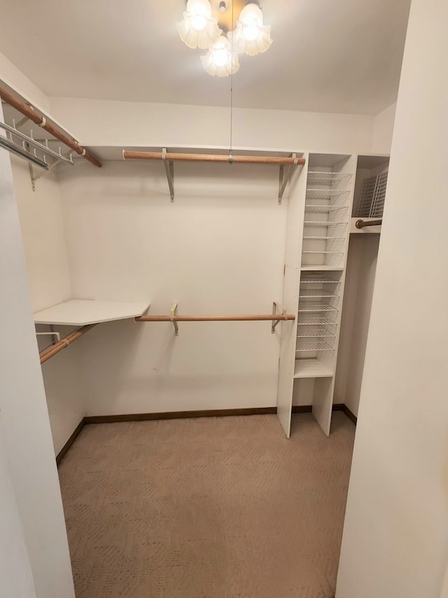 624 Maple Ave, Lisle, IL 60532 - walk in closet featuring carpet floors