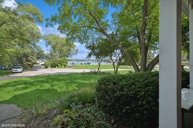 42 N Holly Ave, Fox Lake, IL 60020 - view of green lawn