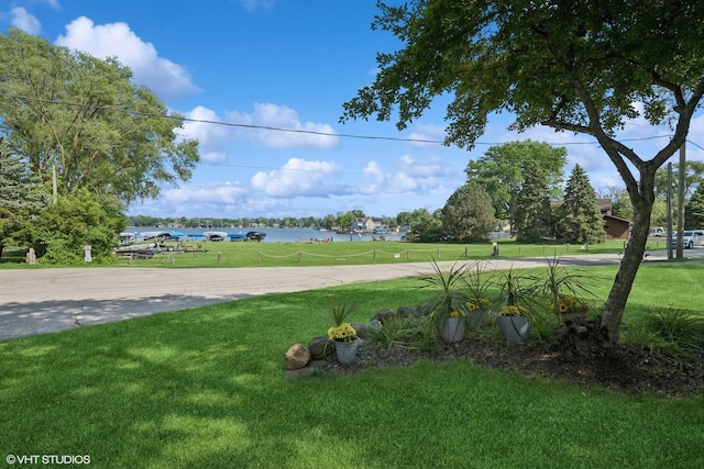42 N Holly Ave, Fox Lake, IL 60020 - view of grassy yard