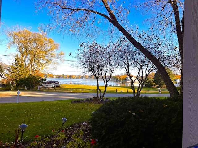 42 N Holly Ave, Fox Lake, IL 60020 - view of green lawn featuring a water view
