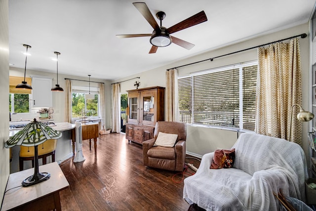 361 Cascade Ln Unit 1, Oswego, IL 60543 - living room with a ceiling fan and dark wood-type flooring