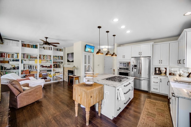 361 Cascade Ln Unit 1, Oswego, IL 60543 - kitchen featuring appliances with stainless steel finishes, ceiling fan, open floor plan, dark wood-style flooring, and light stone countertops