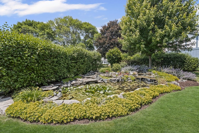 1401 Fallcreek Ct, Naperville, IL 60565 - view of yard featuring a garden pond