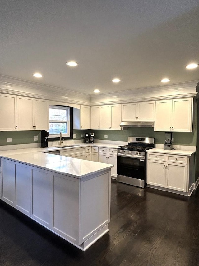 1401 Fallcreek Ct, Naperville, IL 60565 - kitchen with stainless steel gas range, crown molding, under cabinet range hood, a peninsula, and white cabinetry