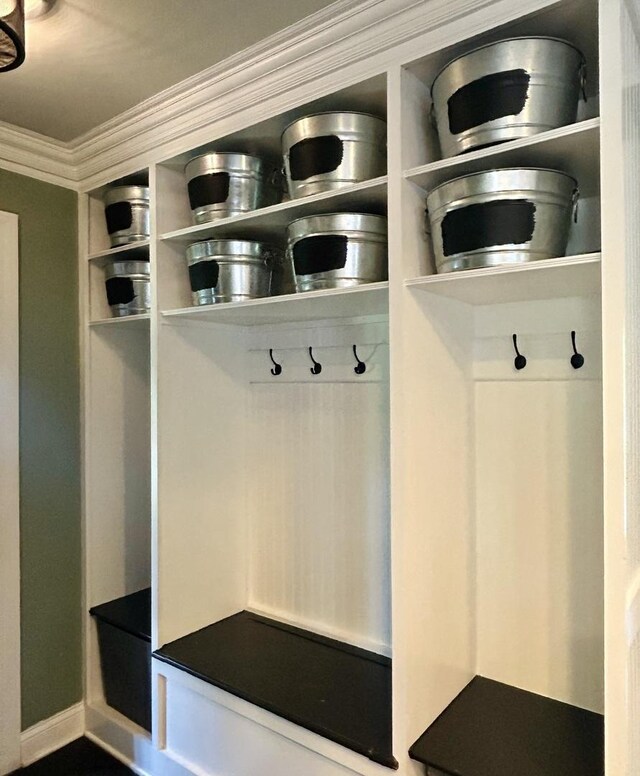 1401 Fallcreek Ct, Naperville, IL 60565 - view of mudroom