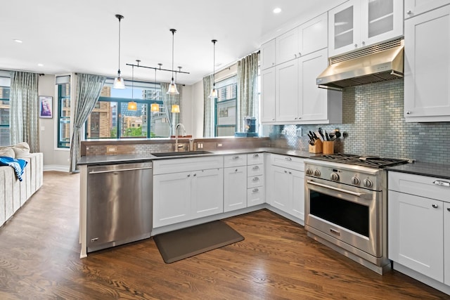 841 W Monroe St Unit 4A, Chicago, IL 60607 - kitchen featuring appliances with stainless steel finishes, under cabinet range hood, a peninsula, dark wood finished floors, and recessed lighting