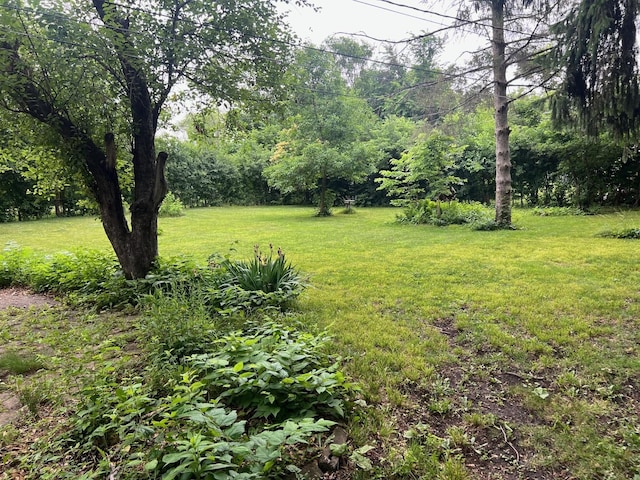 2075 Halsey Dr, Des Plaines, IL 60018 - view of green lawn