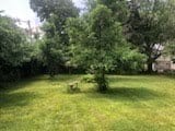 2075 Halsey Dr, Des Plaines, IL 60018 - view of grassy yard