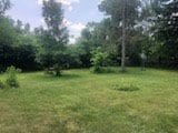 2075 Halsey Dr, Des Plaines, IL 60018 - view of grassy yard