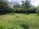 2075 Halsey Dr, Des Plaines, IL 60018 - view of green lawn