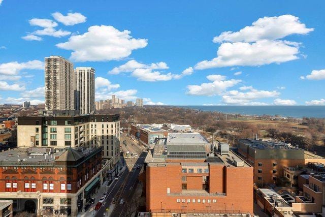 70 W Burton Pl Unit 1801, Chicago, IL 60610 - view of city
