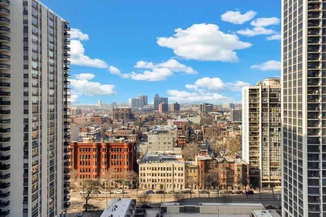 70 W Burton Pl Unit 1801, Chicago, IL 60610 - view of city