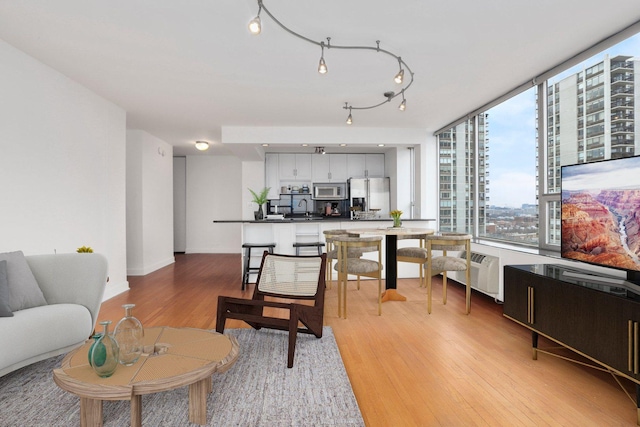 70 W Burton Pl Unit 1801, Chicago, IL 60610 - living area with light wood finished floors, radiator heating unit, and a city view