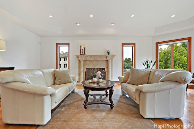 39 Forest Ln, South Barrington, IL 60010 - living area with wood finished floors, a raised ceiling, recessed lighting, and a high end fireplace