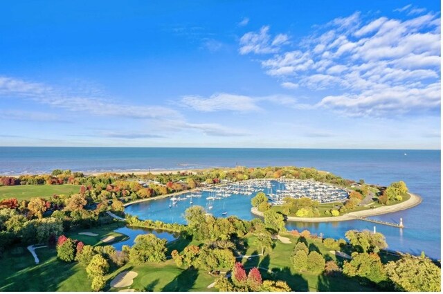 4250 N Marine Dr Unit 510, Chicago, IL 60613 - photo 9