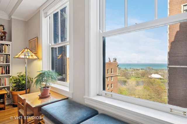 2440 N Lakeview Ave Unit 14E, Chicago, IL 60614 - detailed view of crown molding and nearby water