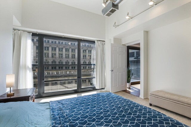 130 S Canal St Unit 624, Chicago, IL 60606 - bedroom with carpet flooring