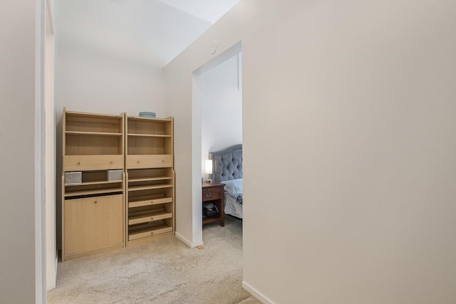 130 S Canal St Unit 624, Chicago, IL 60606 - walk in closet with light carpet