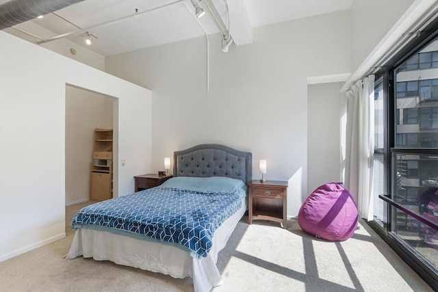 130 S Canal St Unit 624, Chicago, IL 60606 - bedroom with carpet, rail lighting, and a high ceiling