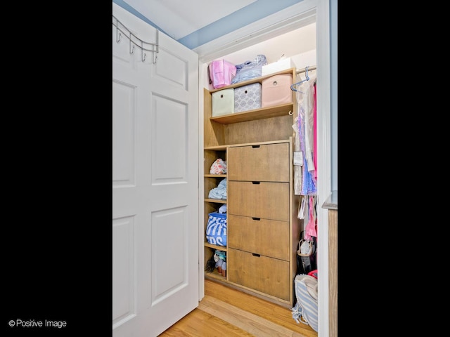 2246 Strawberry Ln, Glenview, IL 60026 - view of closet
