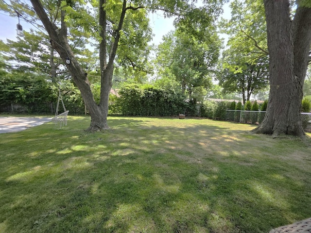 727 N Fordham Ave, Aurora, IL 60506 - view of yard