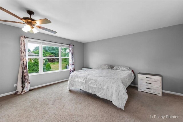 903 Pin Oak Cir, Cary, IL 60013 - carpeted bedroom featuring baseboards and a ceiling fan