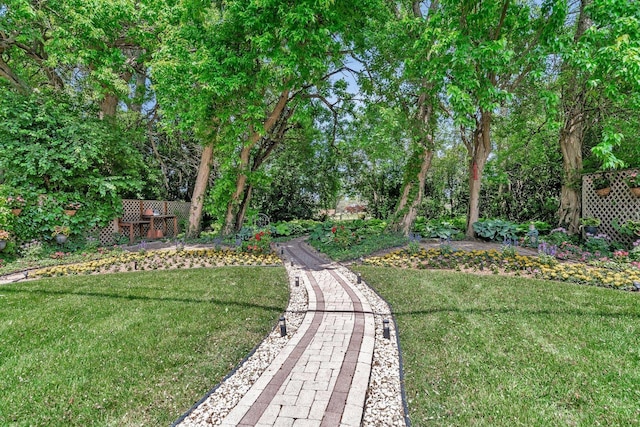 2319 Hutchison Rd, Flossmoor, IL 60422 - view of grassy yard