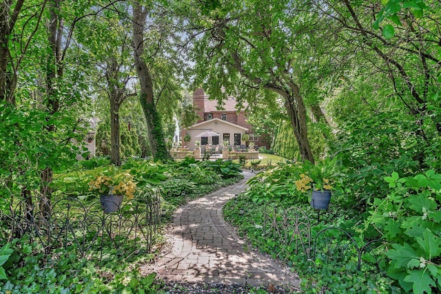 2319 Hutchison Rd, Flossmoor, IL 60422 - view of yard