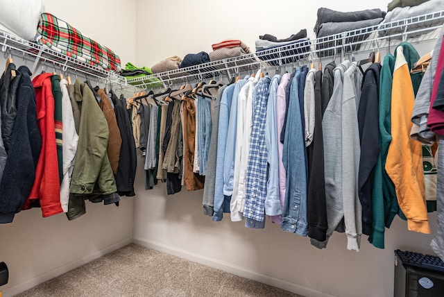 1199 E Port Clinton Rd Unit 305, Vernon Hills, IL 60061 - walk in closet with carpet