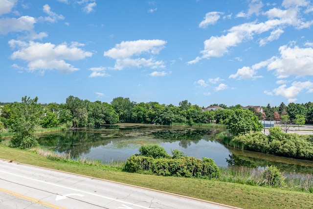 1199 E Port Clinton Rd Unit 305, Vernon Hills, IL 60061 - water view