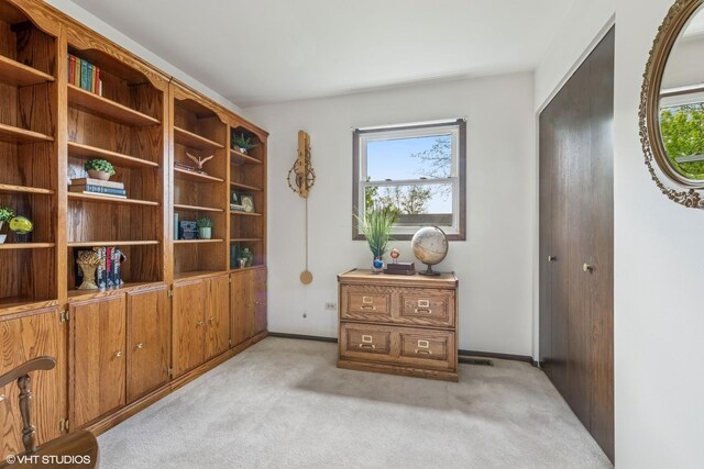 20559 N Celia Ave, Lincolnshire, IL 60069 - photo 16