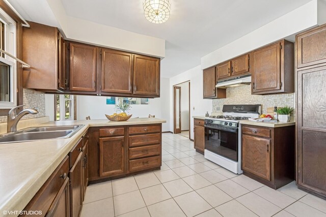 20559 N Celia Ave, Lincolnshire, IL 60069 - photo 8