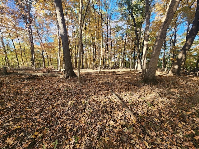 LOT1783/84 Blueberry Dr, Varna, IL 61375 - photo 1