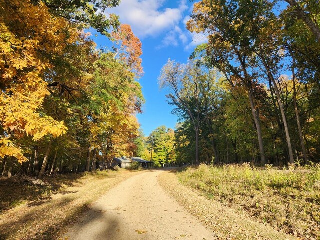 LOT1783/84 Blueberry Dr, Varna, IL 61375 - photo 3