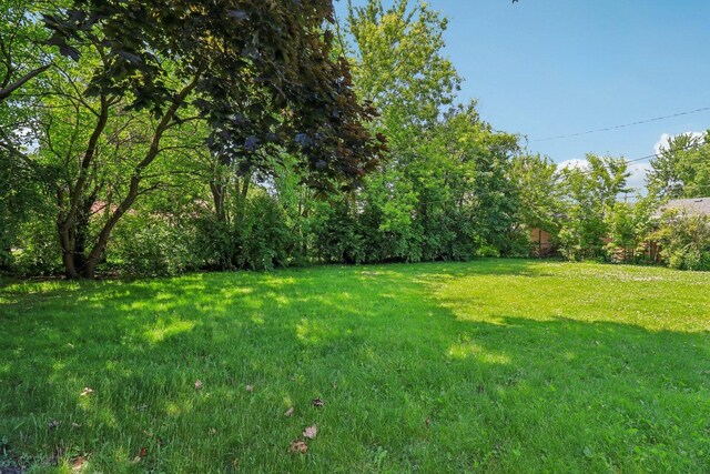 7248 N Kildare Ave, Lincolnwood, IL 60712 - view of green lawn