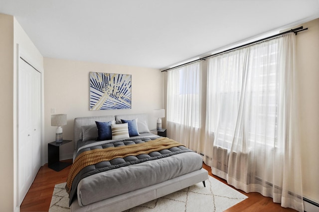 3033 N Sheridan Rd Unit 603, Chicago, IL 60657 - bedroom with wood finished floors and a closet