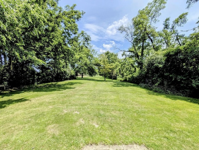 1274 N Cooper Rd, New Lenox, IL 60451 - view of green lawn