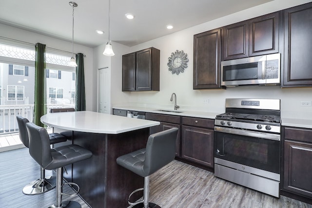 277 Lakeshore Dr, Oswego, IL 60543 - kitchen featuring stainless steel appliances, a kitchen bar, light wood finished floors, light countertops, and dark brown cabinetry